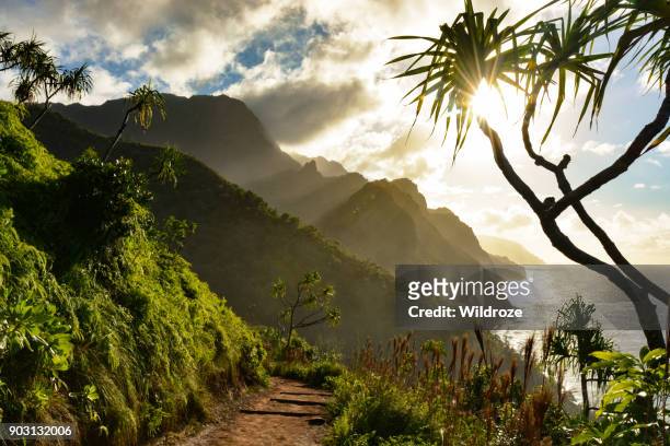 beautiful na pali coast sunset from the kalalau trail on kauai's north shore - hawaii beach stock pictures, royalty-free photos & images