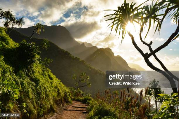 beautiful na pali coast sunset from the kalalau trail on kauai's north shore - havai imagens e fotografias de stock