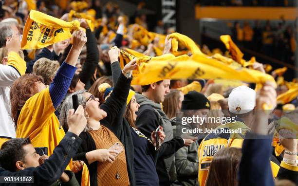 Preds Fan 3,518 Nashville Predators Fans Stock Photos, High-Res Pictures, and ...