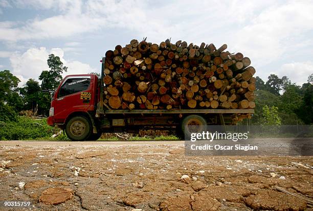 Truck carrying many logs makes it's way up a road June 6, 2009 in Jambi, Indonesia. More than 100 orangutans live in Bukit Tiga Puluh National Park....