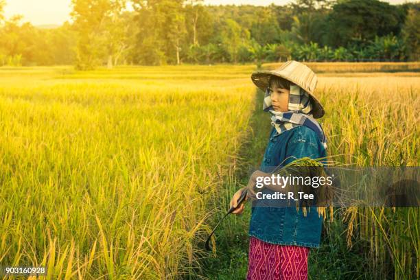 Rice Field Hat Girl Photos and Premium High Res Pictures - Getty Images