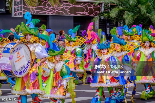 carnaval in santa cruz de tenerife, canarische eilanden - spanje - santa cruz carnival stockfoto's en -beelden