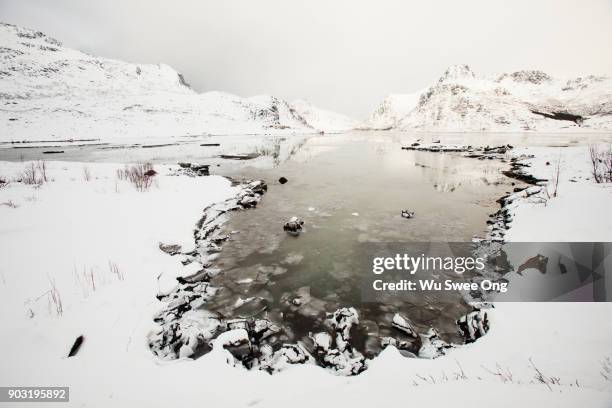 white frozen landscapes - wu swee ong stock pictures, royalty-free photos & images