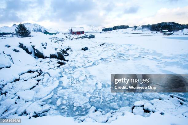 white frozen landscape - wu swee ong stock pictures, royalty-free photos & images