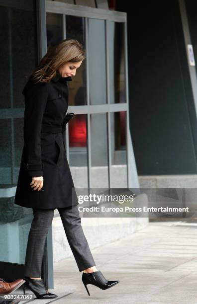 Queen Letizia of Spain is seen arriving at a meeting at Fundeu BBVA on January 10, 2018 in Madrid, Spain.