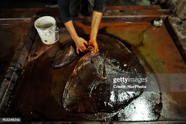 Worker arranging semi Hard molasses to cooldown to prepare molasses Chaku at Tokha, Kathmandu, Nepal on Wednesday, January 10, 2018. Molasses Chaku...