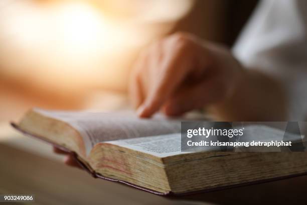 women reading a book,women reading the holy bible. - bible stock pictures, royalty-free photos & images