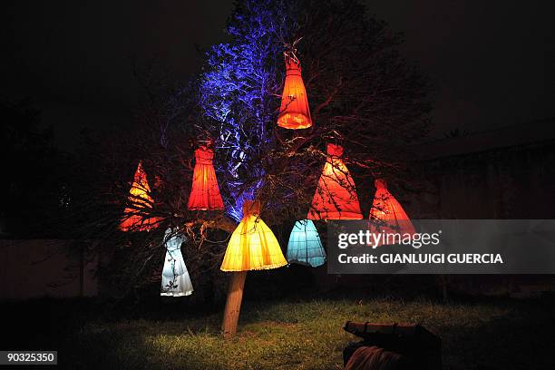 Illuminated dresses hang from a tree on September 03, 2009 during an artistic event of theatre and fashion in Cape Town, South Africa. The event,...