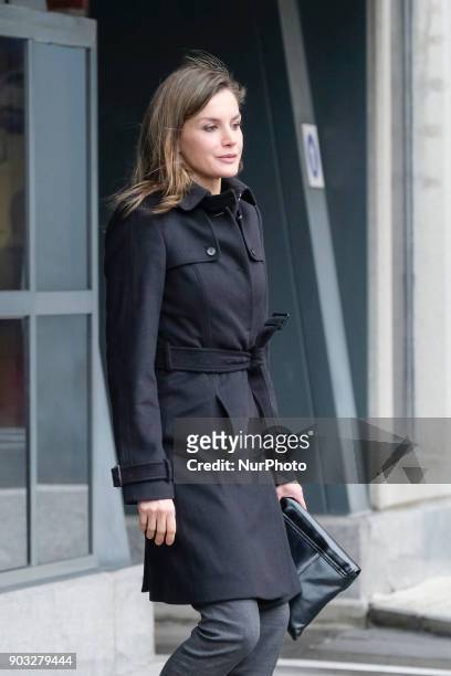 Queen Letizia of Spain attends a meeting at the Fundeu BBVA Foundation on January 10, 2018 in Madrid, Spain.
