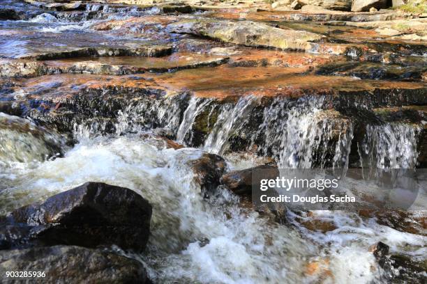 fast flowing mountain stream - süßwasser stock-fotos und bilder