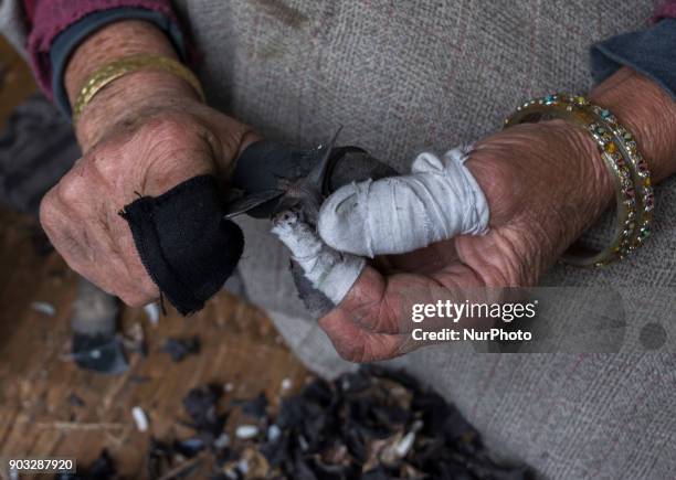 Daulat 55, laced with protective rubber all over her fingers shows the kernels after moving a special knife tactfully over the chestnuts, say the...