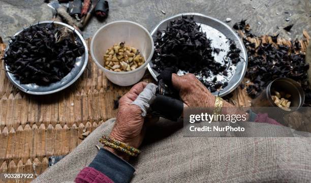 Daulat 55, laced with protective rubber all over her fingers shows the kernels after moving a special knife tactfully over the chestnuts, say the...