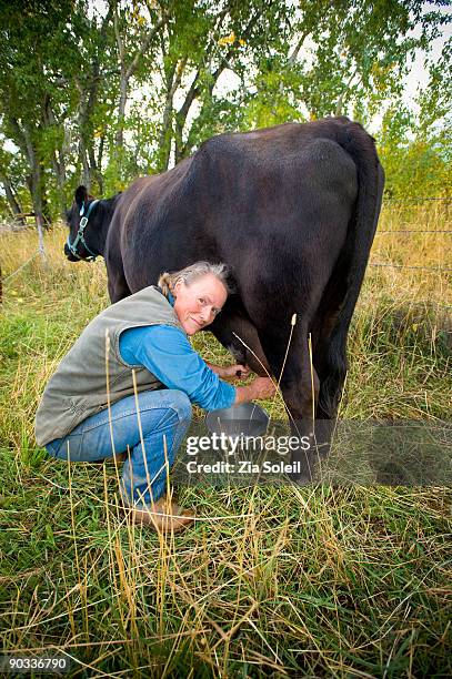 woman milking cow - man milking woman photos et images de collection