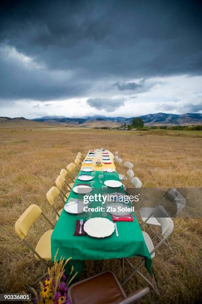 long table set for dinner in open field - long table stockfoto's en -beelden