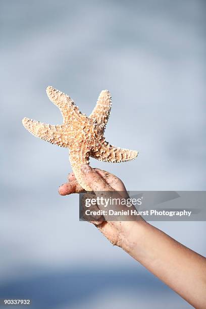 hand with starfish - lincoln city oregon stock pictures, royalty-free photos & images