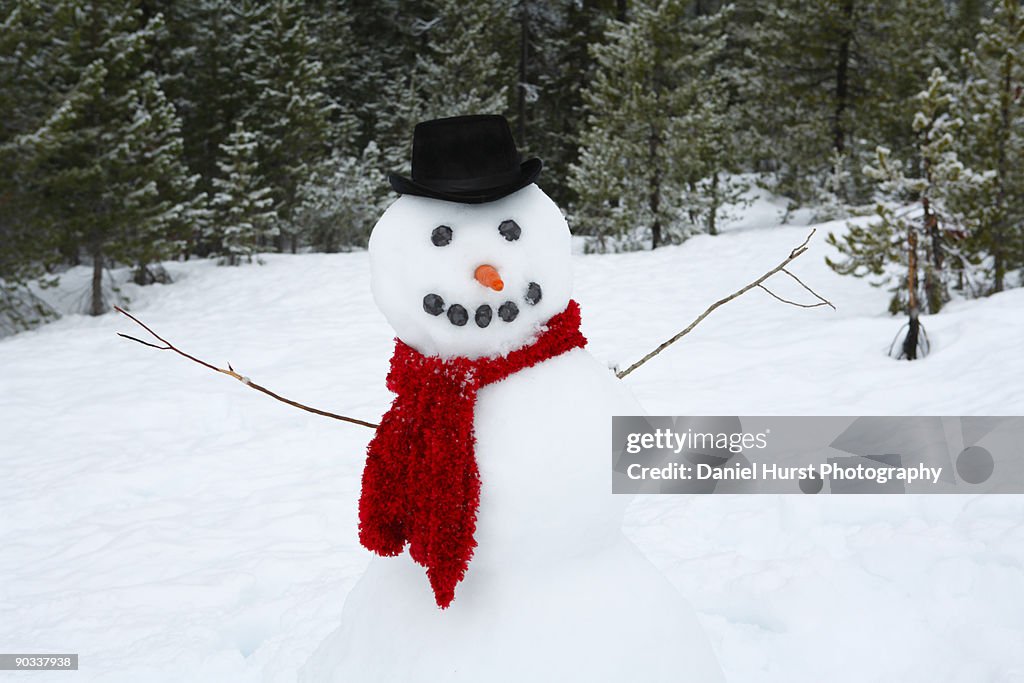 Snowman with arms out