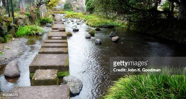 pathway of stones over river - mishima city stock pictures, royalty-free photos & images