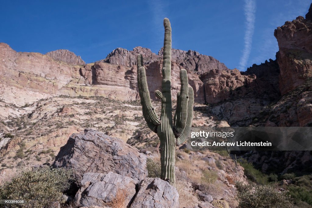 Copper mine threatens Sonoran desert