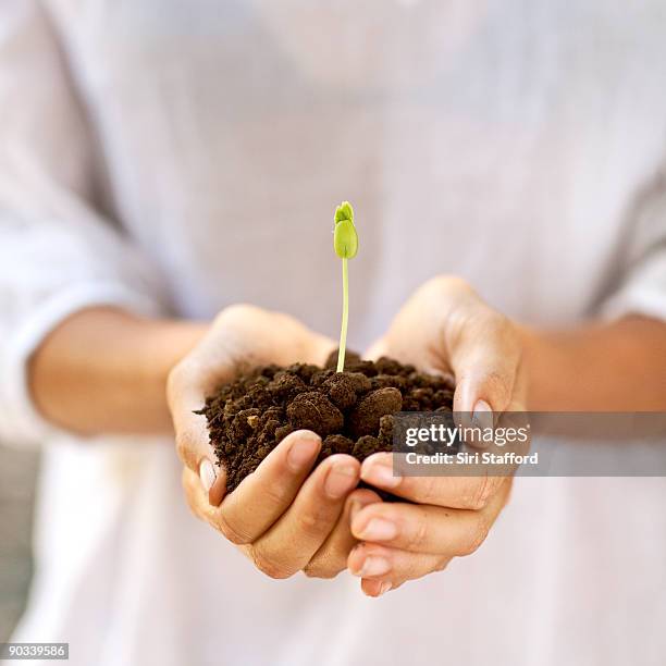 woman holding sprout in dirt - siri stafford stock pictures, royalty-free photos & images