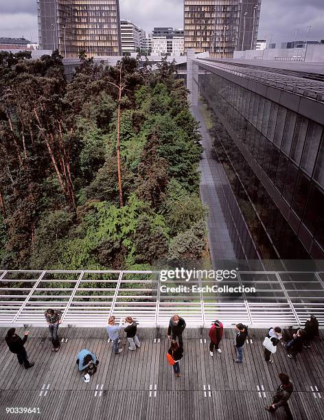 students enjoying a break at the bnf, paris. - paris library stock pictures, royalty-free photos & images