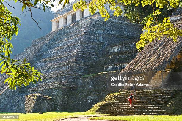 templo las inscripciones, palenque, mexico - palenque stock-fotos und bilder
