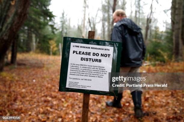 Chuck Lubelczyk, a vector ecologist for Maine Medical Center Research Institute, walks into a lyme disease research site in Cape Elizabeth.