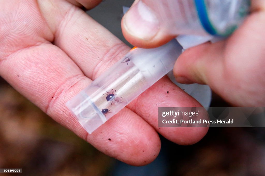 Tick study aims to predict the effect of changing weather