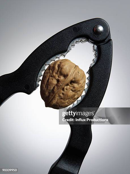 Walnut Shell Cracker Shell Cracker Photos and Premium High Res Pictures - Getty Images