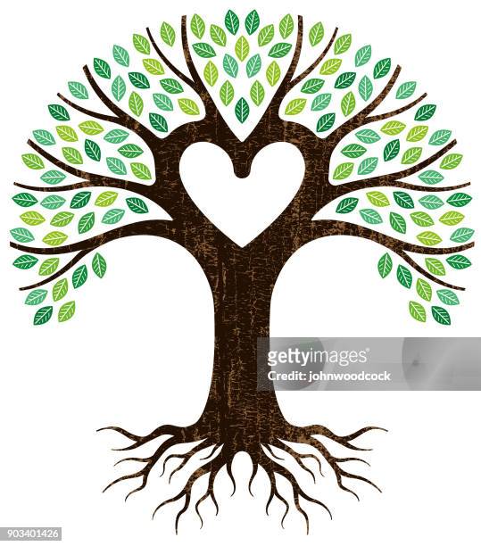 ilustrações, clipart, desenhos animados e ícones de descascar o vetor de árvore de coração de tinta - tronco de árvore