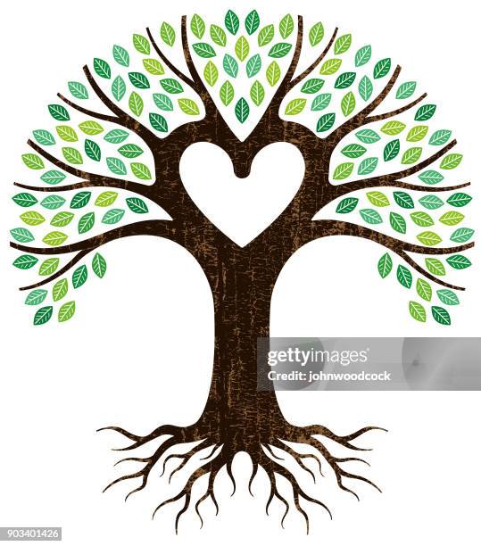 peeling paint heart tree vector - family tree with roots stock illustrations