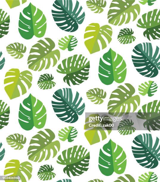 illustrazioni stock, clip art, cartoni animati e icone di tendenza di sfondo senza cuciture foglia di palma - monstera