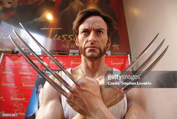 Hugh Jackman's "Wolverine" wax figure at Madame Tussauds on September 4, 2009 in New York City.