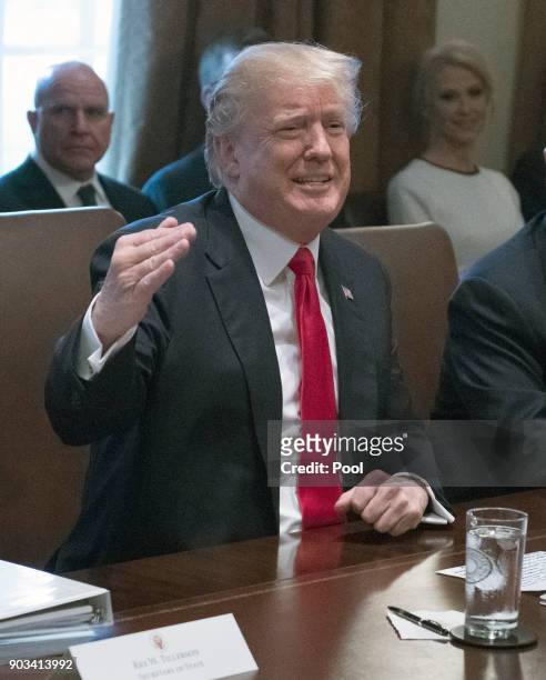 President Donald Trump makes opening remarks as he holds a Cabinet meeting in the Cabinet Room of the White House on January 10, 2018 in Washington,...