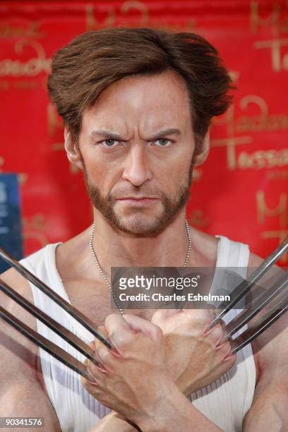 Hugh Jackman's "Wolverine" Wax Figure at Madame Tussauds on September 4, 2009 in New York City.