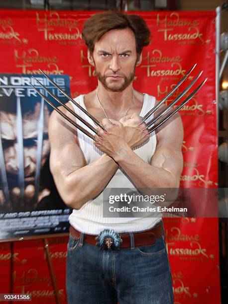 Hugh Jackman's "Wolverine" Wax Figure at Madame Tussauds on September 4, 2009 in New York City.