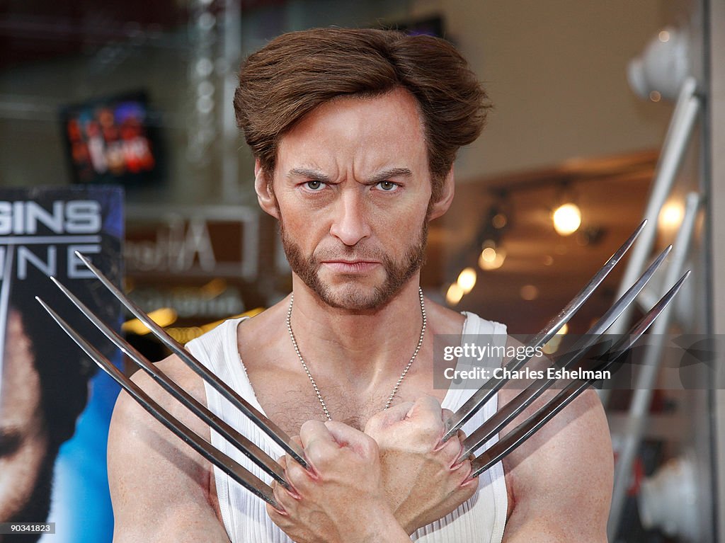 Hugh Jackman's "Wolverine" Wax Figure Receives A Manicure