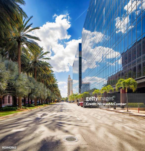 miami coral gables business street with office buildings and palm trees - miami business imagens e fotografias de stock