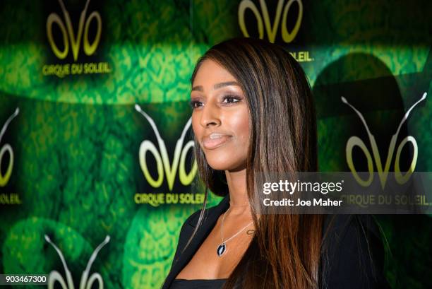 Alexandra Burke arriving at the Cirque du Soleil OVO premiere at Royal Albert Hall on January 10, 2018 in London, England.