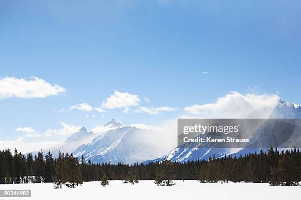 grand teton national state park - karen de silva stockfoto's en -beelden