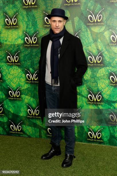 Mark Strong attends the Cirque du Soleil OVO premiere at Royal Albert Hall on January 10, 2018 in London, England.