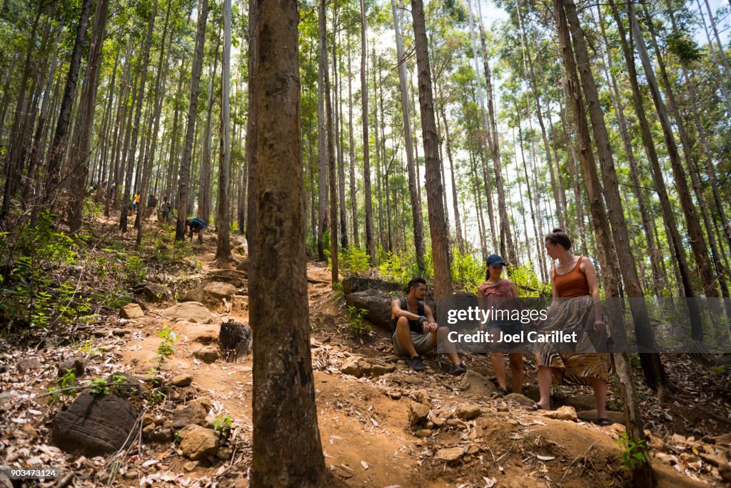 Travelers hiking to Ella Rock in Ella, Sri Lanka