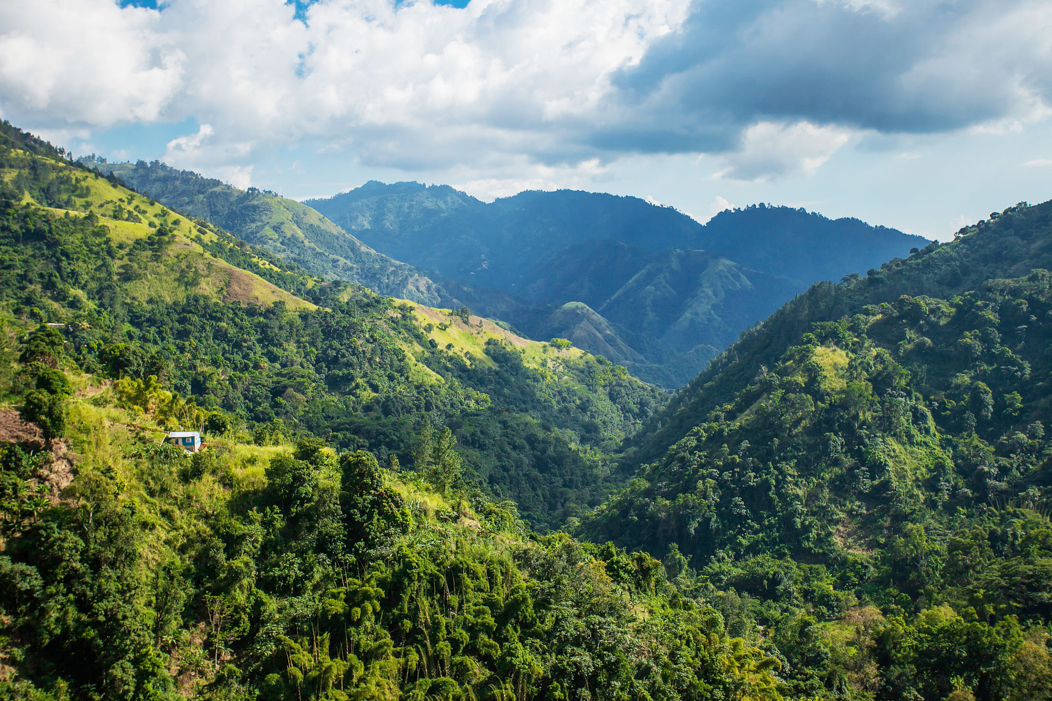 jamaica mountains