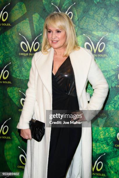 Nicki Chapman arriving at the Cirque du Soleil OVO premiere at Royal Albert Hall on January 10, 2018 in London, England.