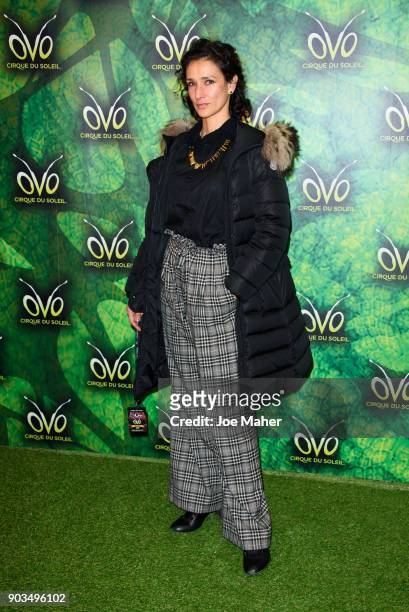 Indira Varma arriving at the Cirque du Soleil OVO premiere at Royal Albert Hall on January 10, 2018 in London, England.