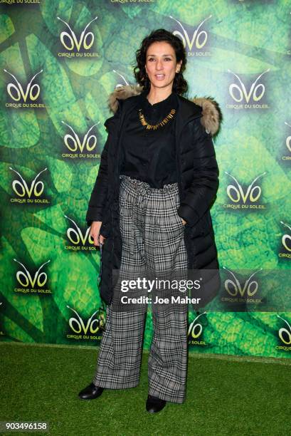 Indira Varma arriving at the Cirque du Soleil OVO premiere at Royal Albert Hall on January 10, 2018 in London, England.