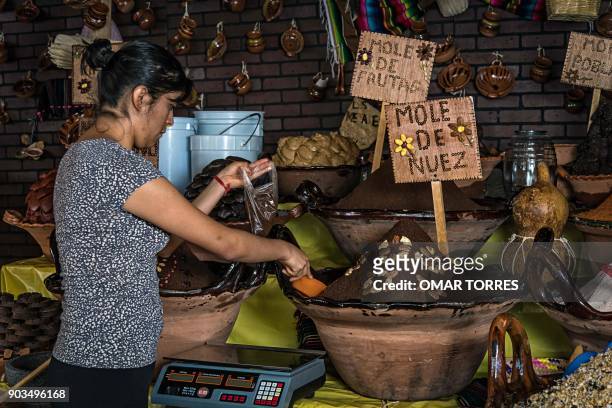 Sabrina Lamadrid Meza serves mole with nuts and sweet dry fruits, at her stall at the Mole Fair in San Pedro Atocpan, Milpa Alta borough near Mexico...