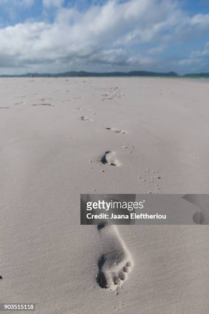 foot steps in a white sand on a whitehaven  beach, australia - whitehaven beach stock pictures, royalty-free photos & images