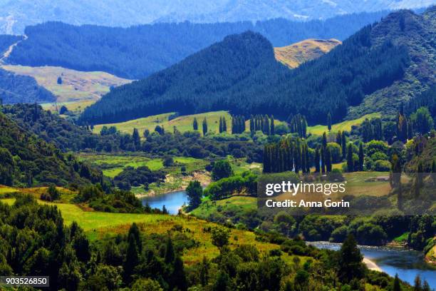 high angle view of whanganui river running through lush valley in summer, north island new zealand - north island new zealand stock pictures, royalty-free photos & images