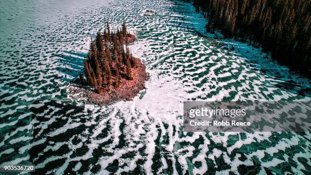 white landscapes - frozen lake with ice patterns and trees in winter. - robb reece bildbanksfoton och bilder