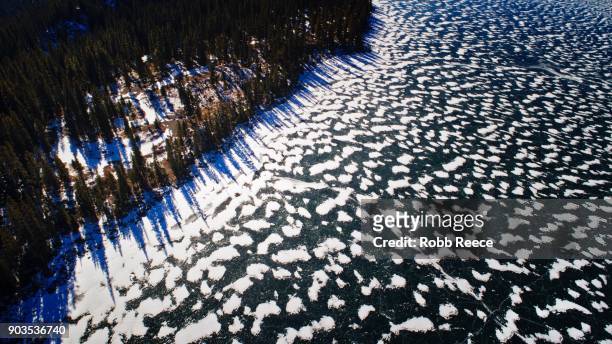 white landscapes - frozen lake with ice patterns and trees in winter. - robb reece stockfoto's en -beelden